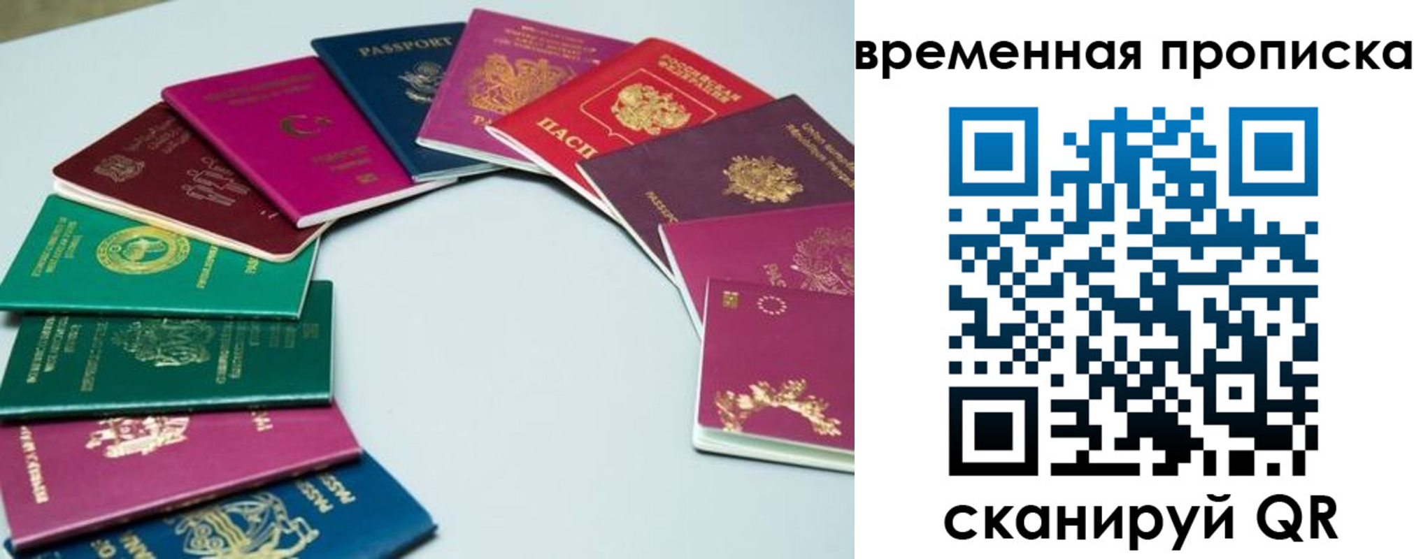 найти адрес прописки в Камышлове