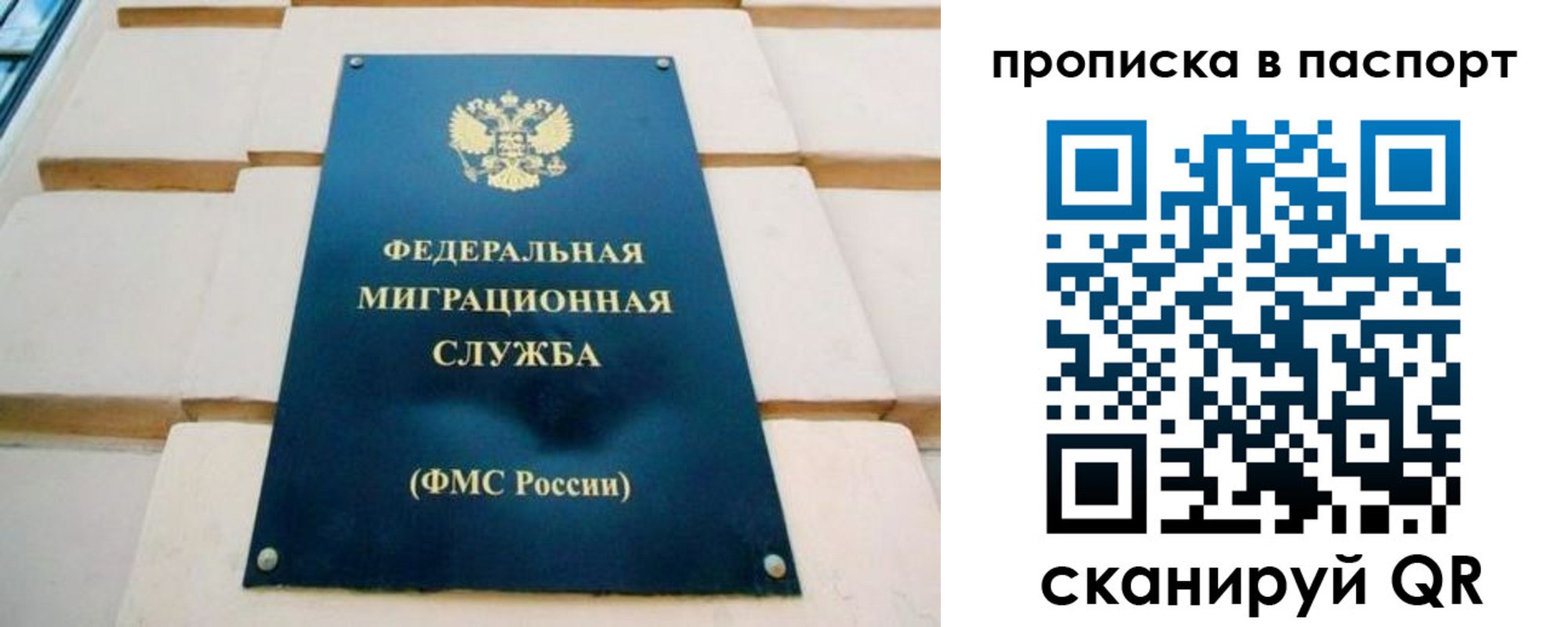 временная регистрация гарантия в Камышлове